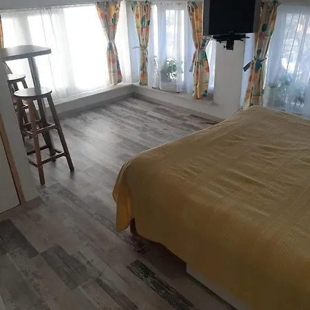 Casa Particulara Homestay Craiova